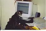 Click image for larger version

Name:	kittyhomework.jpg
Views:	326
Size:	131.7 KB
ID:	948544