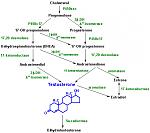 Click image for larger version

Name:	malesexhormones.jpg
Views:	269
Size:	51.6 KB
ID:	948608