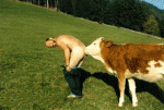Click image for larger version

Name:	rednecktoiletpaper.gif
Views:	271
Size:	92.2 KB
ID:	948609