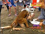 Click image for larger version

Name:	doggy.jpg
Views:	298
Size:	90.5 KB
ID:	948672