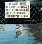 Click image for larger version

Name:	alligator.jpg
Views:	300
Size:	15.8 KB
ID:	948679
