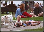 Click image for larger version

Name:	1cart109.jpg
Views:	371
Size:	65.4 KB
ID:	948696
