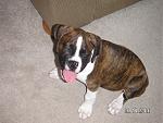 Click image for larger version

Name:	panting.jpg
Views:	338
Size:	64.4 KB
ID:	948709