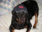 Click image for larger version

Name:	pict0016.jpg
Views:	352
Size:	299.3 KB
ID:	948750