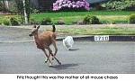 Click image for larger version

Name:	chase.jpg
Views:	302
Size:	20.4 KB
ID:	948816