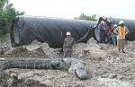Click image for larger version

Name:	petro_1.jpg
Views:	343
Size:	135.1 KB
ID:	949083