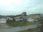Click image for larger version

Name:	duringstormwindblowingpalmtree.jpg
Views:	280
Size:	63.2 KB
ID:	949098