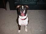 Click image for larger version

Name:	pict0001.jpg
Views:	385
Size:	331.2 KB
ID:	949133