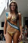 Click image for larger version

Name:	3239miss_paraguay.jpg
Views:	483
Size:	17.3 KB
ID:	949158