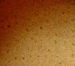 Click image for larger version

Name:	guesswhatthisis.jpg
Views:	341
Size:	55.1 KB
ID:	949189
