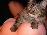 Click image for larger version

Name:	faves.jpg
Views:	481
Size:	45.6 KB
ID:	949243