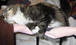Click image for larger version

Name:	img_0059.jpg
Views:	320
Size:	441.3 KB
ID:	949258