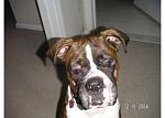 Click image for larger version

Name:	pict0037.jpg
Views:	311
Size:	47.5 KB
ID:	949273