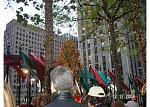 Click image for larger version

Name:	tree1.jpg
Views:	360
Size:	93.7 KB
ID:	949279