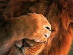 Click image for larger version

Name:	o_nooooo.jpg
Views:	359
Size:	144.9 KB
ID:	949306