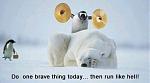 Click image for larger version

Name:	brave.jpg
Views:	261
Size:	12.4 KB
ID:	949397