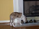 Click image for larger version

Name:	tank2.jpg
Views:	352
Size:	34.3 KB
ID:	949482
