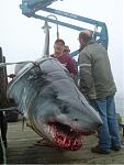 Click image for larger version

Name:	4.jpg
Views:	252
Size:	174.7 KB
ID:	949512