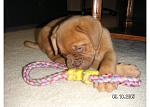 Click image for larger version

Name:	PICT0041.JPG
Views:	351
Size:	43.9 KB
ID:	949625