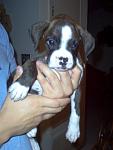 Click image for larger version

Name:	Picture 03000000000.jpg
Views:	320
Size:	28.4 KB
ID:	949649