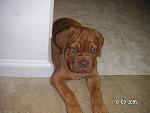 Click image for larger version

Name:	livie 100905.jpg
Views:	326
Size:	37.8 KB
ID:	949669