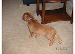 Click image for larger version

Name:	oliviastance.jpg
Views:	314
Size:	54.8 KB
ID:	949671