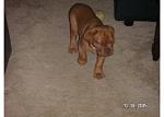 Click image for larger version

Name:	oliviawalk.jpg
Views:	318
Size:	38.5 KB
ID:	949672