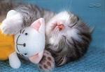 Click image for larger version

Name:	helloKitty.jpg
Views:	396
Size:	64.7 KB
ID:	949694