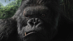 Click image for larger version

Name:	King%20Kong%202005%201.gif
Views:	269
Size:	135.6 KB
ID:	949792