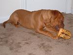 Click image for larger version

Name:	DSCF0513.JPG
Views:	290
Size:	180.0 KB
ID:	949822