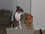 Click image for larger version

Name:	DSCF0541.JPG
Views:	292
Size:	114.2 KB
ID:	949823