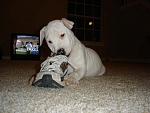 Click image for larger version

Name:	Coleman 003.jpg
Views:	289
Size:	29.1 KB
ID:	949846