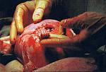 Click image for larger version

Name:	258645.jpg
Views:	368
Size:	41.5 KB
ID:	949934