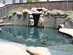 Click image for larger version

Name:	IMG_0156.jpg
Views:	285
Size:	811.9 KB
ID:	950279