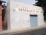 Click image for larger version

Name:	1063894-Golds_Gym-Venice.jpg
Views:	303
Size:	27.9 KB
ID:	950500