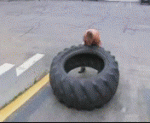 Click image for larger version

Name:	sherktireflip.gif
Views:	296
Size:	545.9 KB
ID:	950537