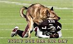Click image for larger version

Name:	dogvick.jpg
Views:	270
Size:	51.3 KB
ID:	950559
