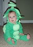 Click image for larger version

Name:	Grayson - Sweat pea.jpg
Views:	248
Size:	72.4 KB
ID:	950583
