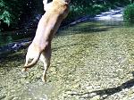 Click image for larger version

Name:	Fly Cookie Fly (2).JPG
Views:	246
Size:	612.8 KB
ID:	950588