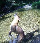 Click image for larger version

Name:	Cookie (2)small.jpg
Views:	240
Size:	845.0 KB
ID:	950590