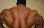 Click image for larger version

Name:	20080207will03.jpg
Views:	328
Size:	16.7 KB
ID:	950668