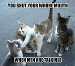 Click image for larger version

Name:	cat slap.jpg
Views:	180
Size:	192.2 KB
ID:	950684