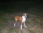 Click image for larger version

Name:	Duke.jpg
Views:	241
Size:	812.0 KB
ID:	950691