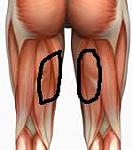 Click image for larger version

Name:	Hamstrings-or-Biceps-Femori.jpg
Views:	268
Size:	5.8 KB
ID:	950731