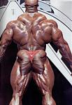 Click image for larger version

Name:	Ronnie_Coleman_photo340.jpg
Views:	282
Size:	54.7 KB
ID:	950852