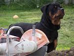 Click image for larger version

Name:	mav-saw.JPG
Views:	265
Size:	79.0 KB
ID:	950900
