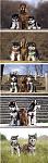 Click image for larger version

Name:	unknown.jpg
Views:	225
Size:	129.4 KB
ID:	950951