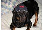 Click image for larger version

Name:	PICT0016.JPG
Views:	241
Size:	54.1 KB
ID:	950968