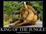 Click image for larger version

Name:	Picture 1.png
Views:	190
Size:	520.6 KB
ID:	950978