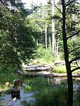 Click image for larger version

Name:	To be sorted 09 229.jpg
Views:	277
Size:	681.9 KB
ID:	950991